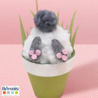 Odoo • une photo avec une légende