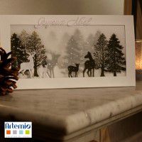 Odoo • une photo avec une légende