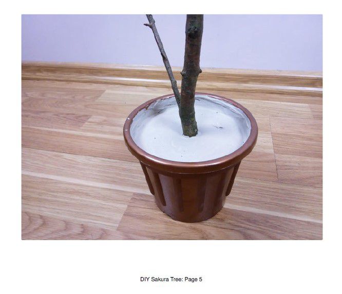 Odoo • Texte et Image