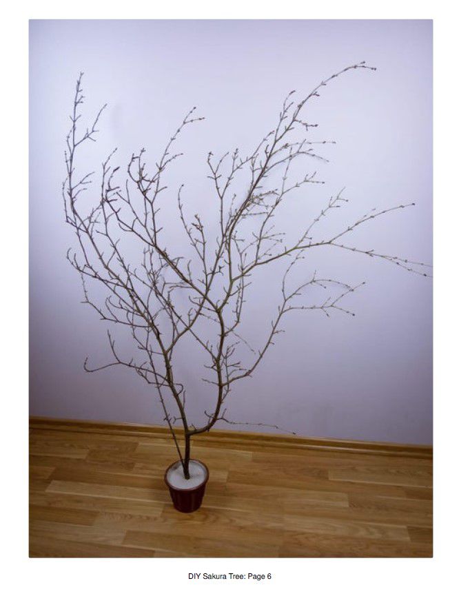 Odoo • Texte et Image