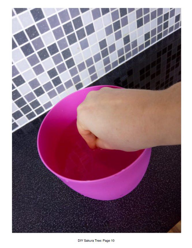 Odoo • Texte et Image