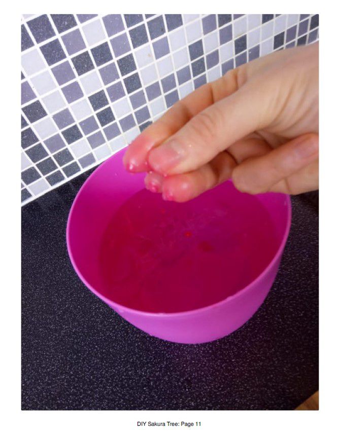 Odoo • Texte et Image