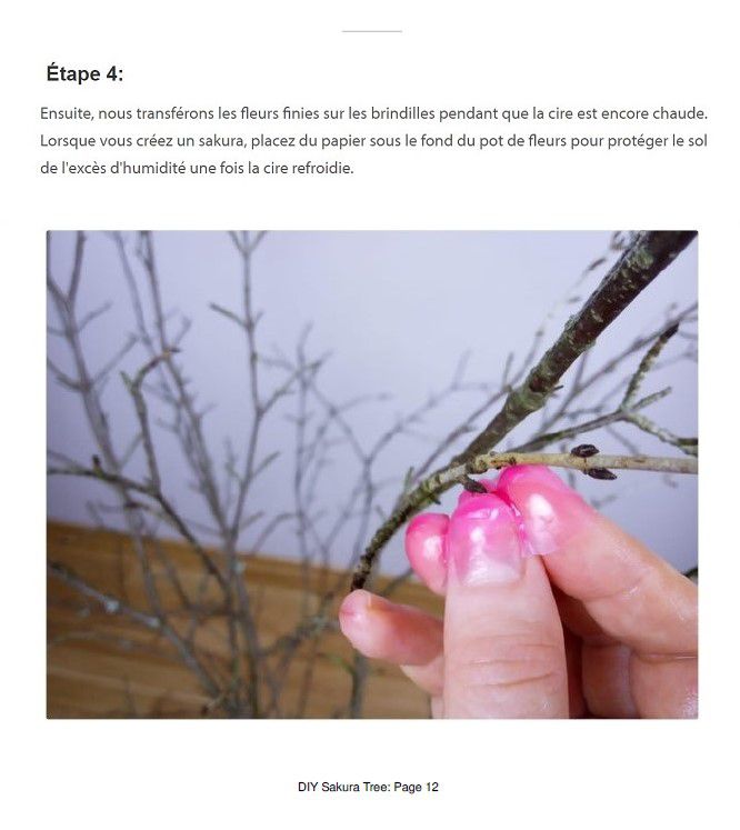 Odoo • Texte et Image