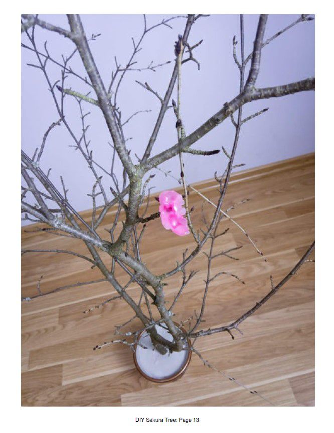 Odoo • Texte et Image