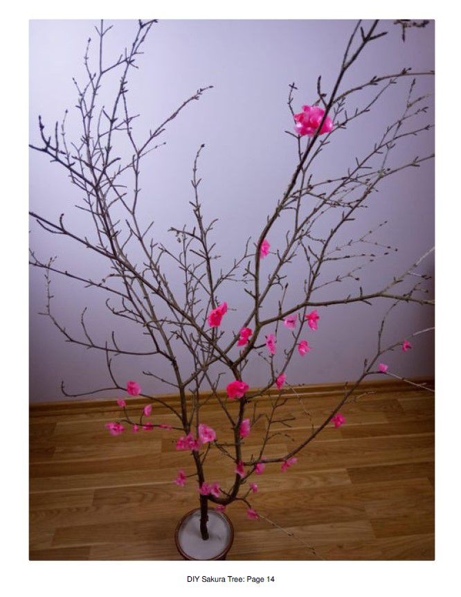 Odoo • Texte et Image