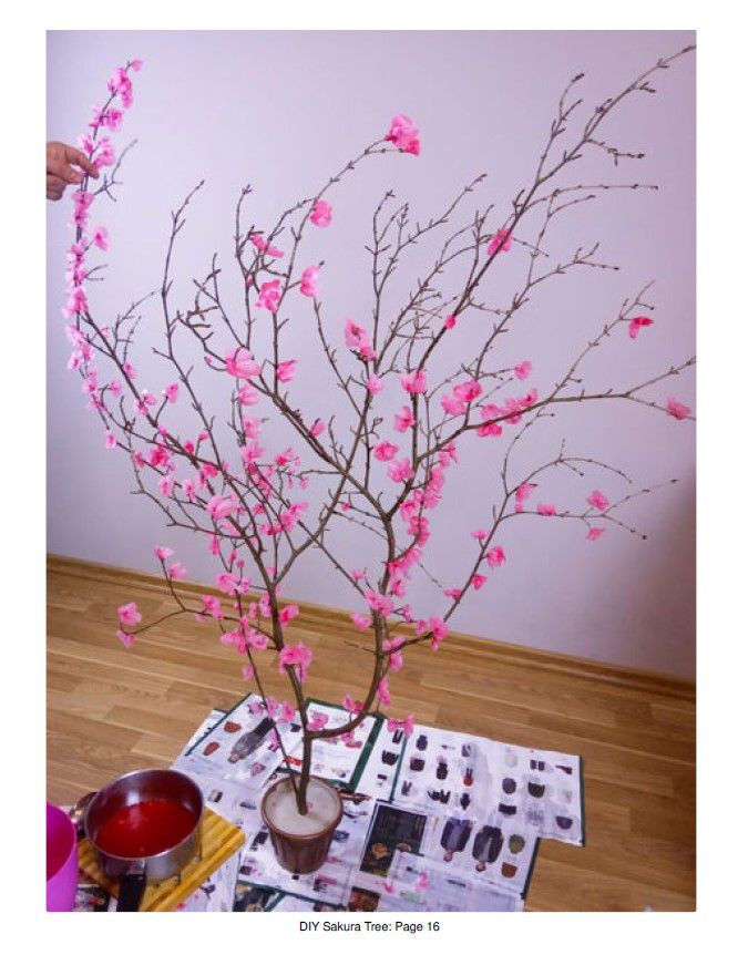 Odoo • Texte et Image