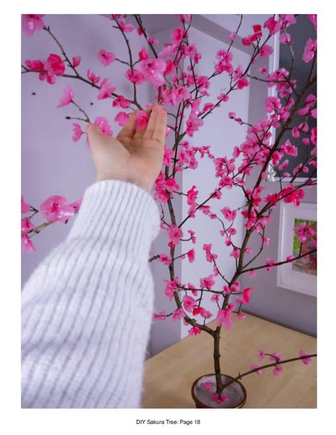 Odoo • Texte et Image