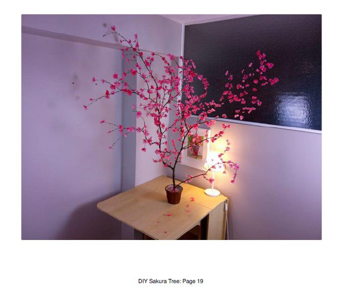 Odoo • Texte et Image