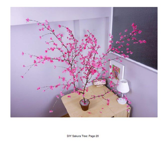 Odoo • Texte et Image