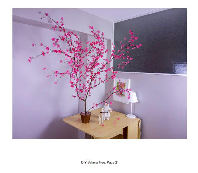 Odoo • Texte et Image