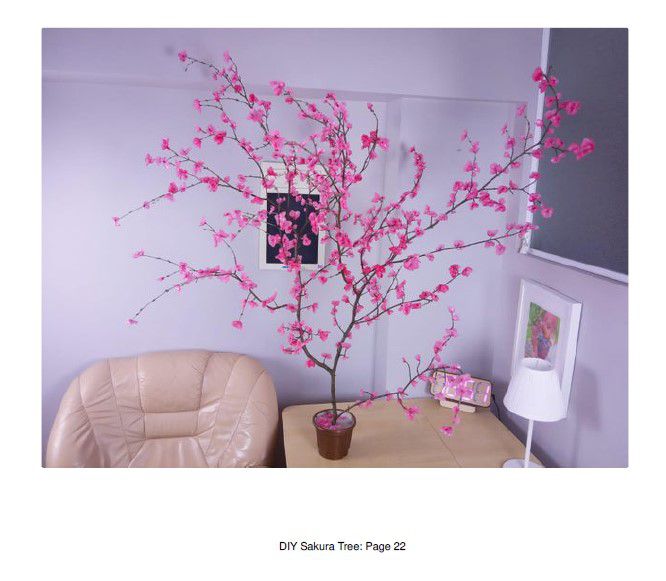 Odoo • Texte et Image