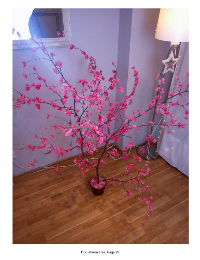 Odoo • Texte et Image