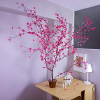 Odoo • une photo avec une légende