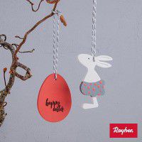 Odoo • une photo avec une légende