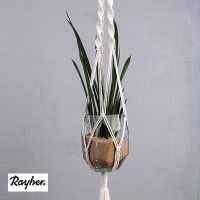 Odoo • une photo avec une légende