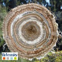 Odoo • une photo avec une légende