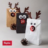 Odoo • une photo avec une légende