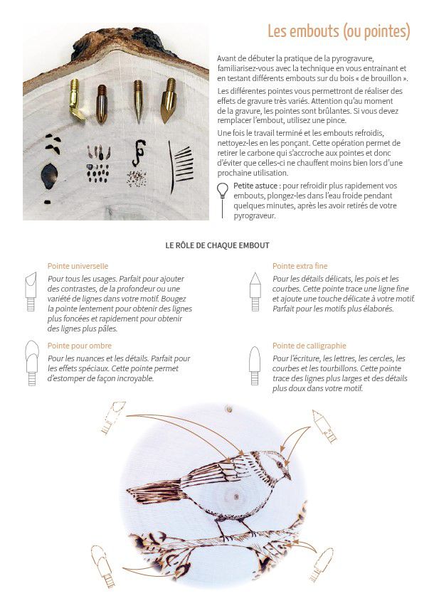 Odoo • Texte et Image