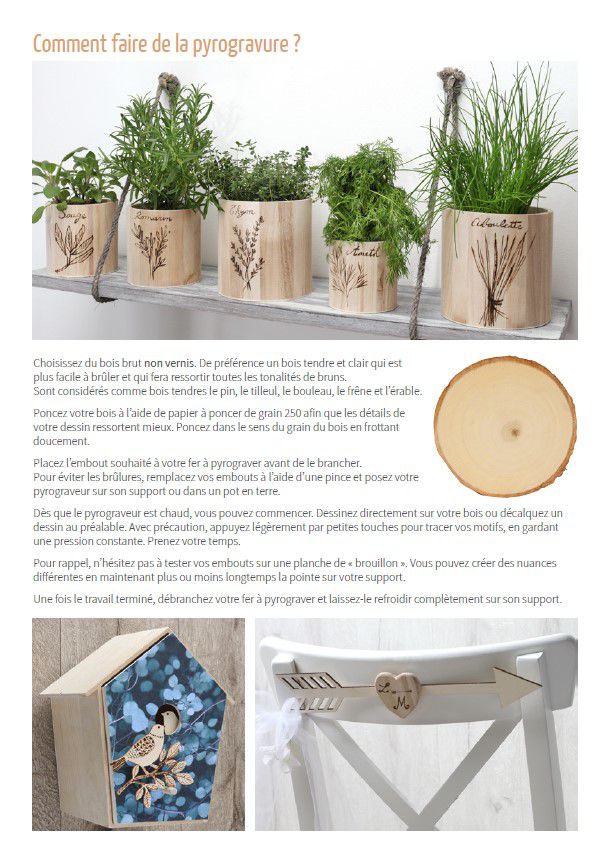 Odoo • Texte et Image