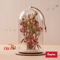 Odoo • une photo avec une légende