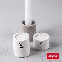 Odoo • une photo avec une légende