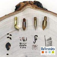 Odoo • une photo avec une légende