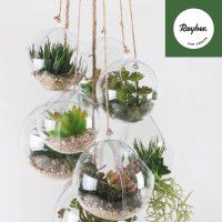 Odoo • une photo avec une légende