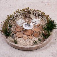 Odoo • une photo avec une légende