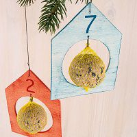 Odoo • une photo avec une légende