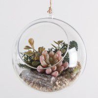 Odoo • une photo avec une légende