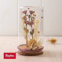 Odoo • une photo avec une légende