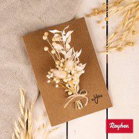 Odoo • une photo avec une légende