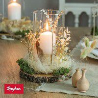 Odoo • une photo avec une légende