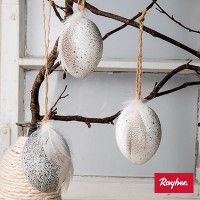 Odoo • une photo avec une légende