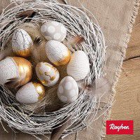 Odoo • une photo avec une légende