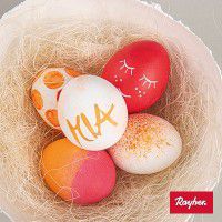 Odoo • une photo avec une légende