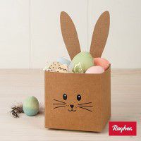 Odoo • une photo avec une légende