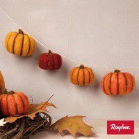 Odoo • une photo avec une légende