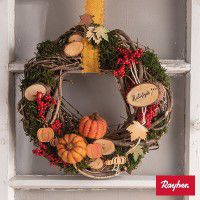 Odoo • une photo avec une légende