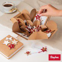 Odoo • une photo avec une légende