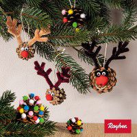 Odoo • une photo avec une légende