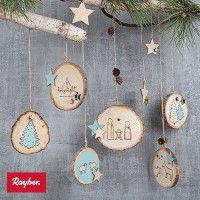 Odoo • une photo avec une légende