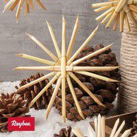 Odoo • une photo avec une légende