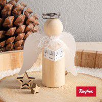 Odoo • une photo avec une légende