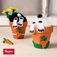 Odoo • une photo avec une légende