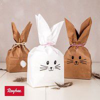 Odoo • une photo avec une légende