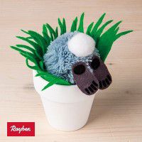 Odoo • une photo avec une légende