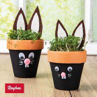 Odoo • une photo avec une légende