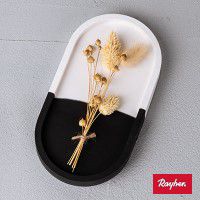 Odoo • une photo avec une légende