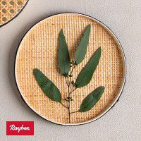 Odoo • une photo avec une légende